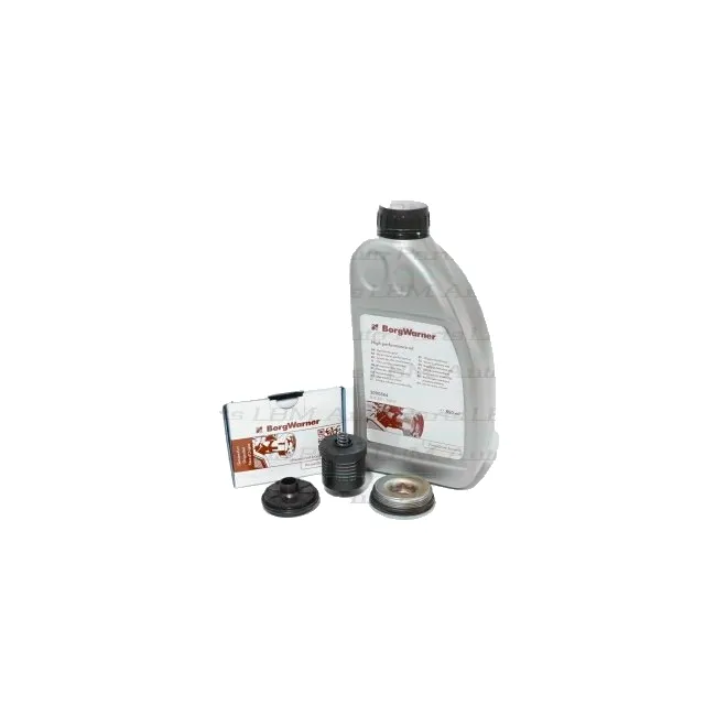 Filtersatz mit Öl – hintere Differentialkupplung Vw Gen2 02d598574,g060175a2,g055175a1,g055175a2 (2001–2005)