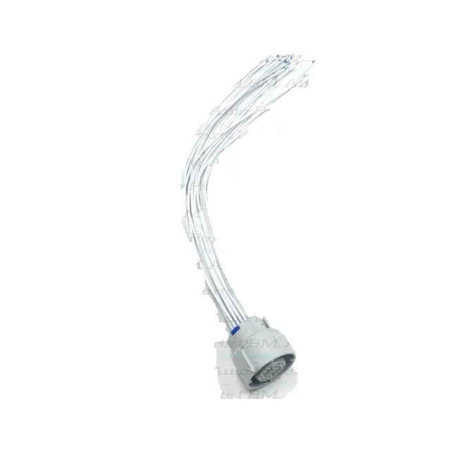 Harnes Gm External Repair (1993-2018)