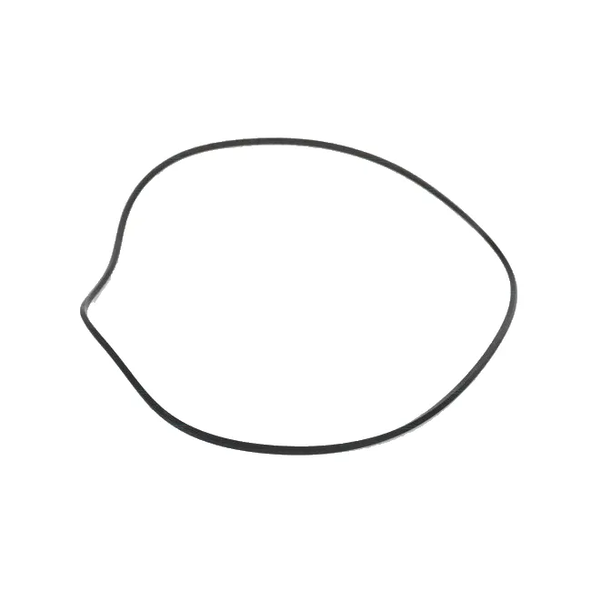 Seal Kit Converter Cast Iron