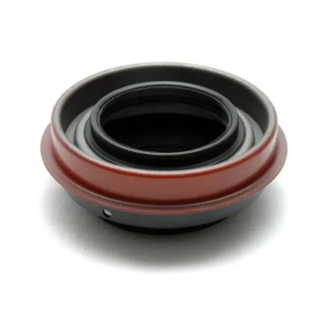 Dichtung 4r100 Verlängerungsgehäuse Super Duty 90-up (1998-2005)