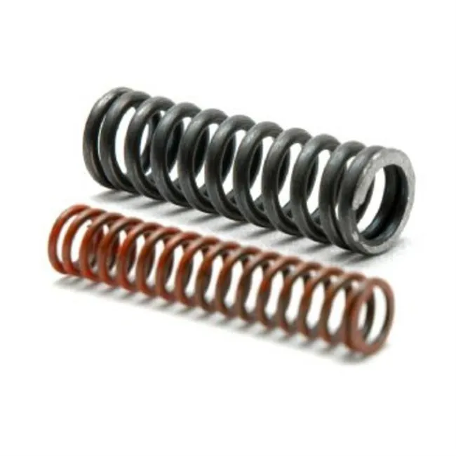 Spring Kit Pump Slide Inner & Outer Th700-r4 Th200-4r 4l60/e (1981-2014)