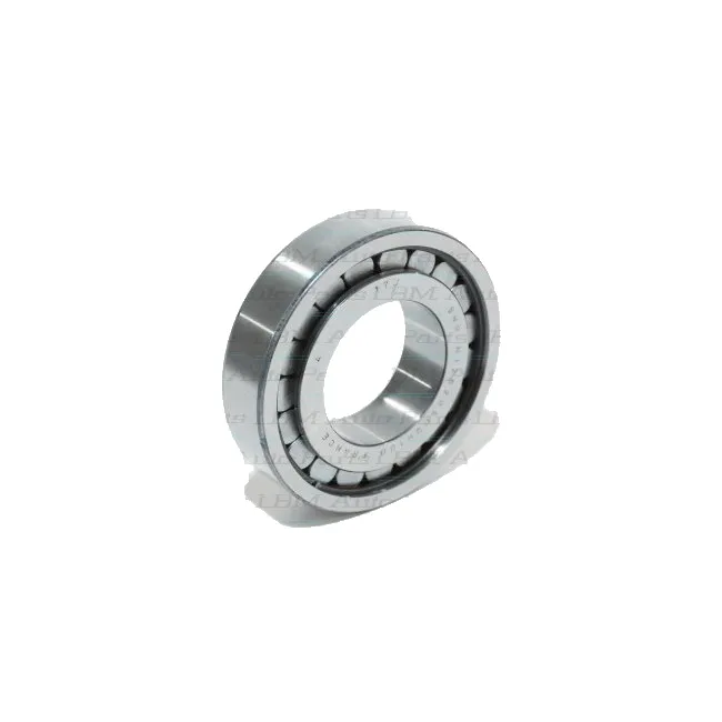 Bearing Mainshaft Bottom Hd C514 5-speed 46763885 (2000-2023)