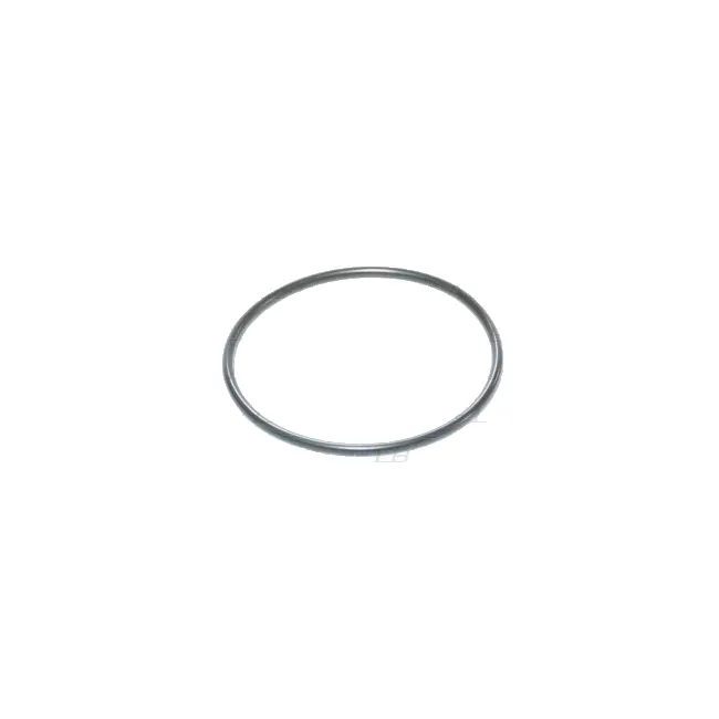 O-Ring, Frontabdeckung F13/f17 90092679