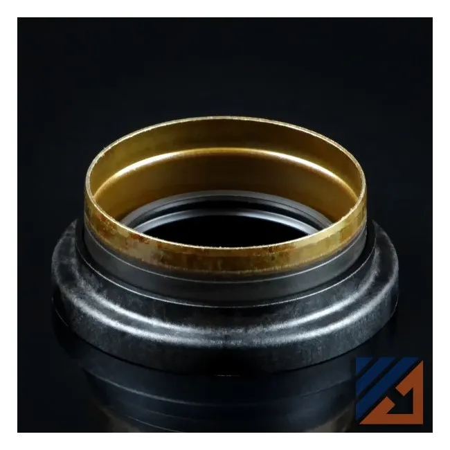 Dichtung Differential R/h 02j/0a4 02j409528a (1993-2023)