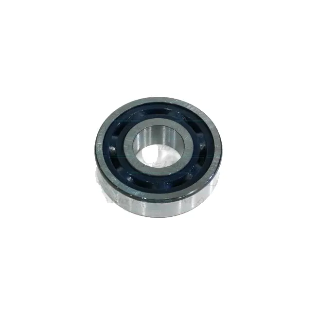Lager Hauptwelle hinten Mt75 M90 1098817