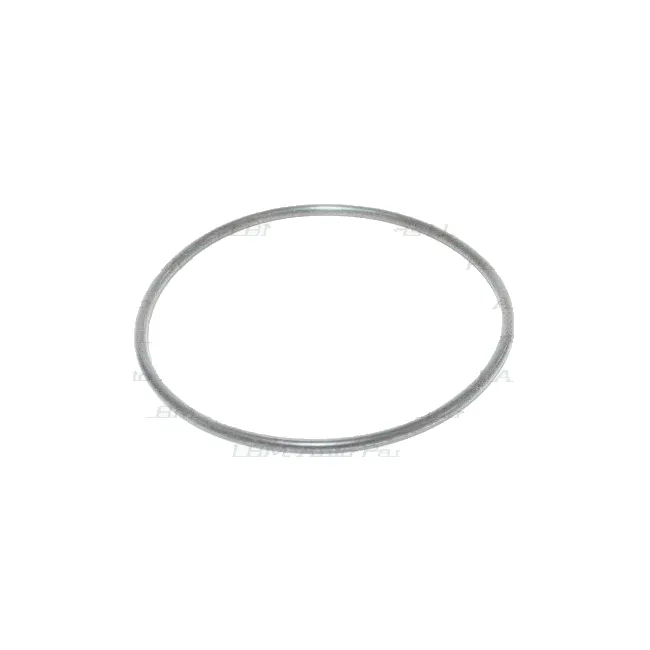 O-Ring groß Nissan 38343-ad300
