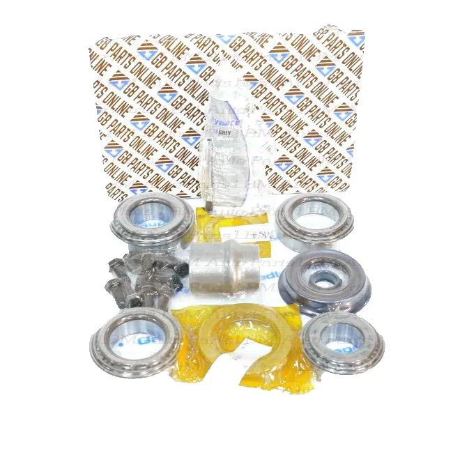 Master Kit Hinterachsdifferenzial Buick Electra 72-65/gm