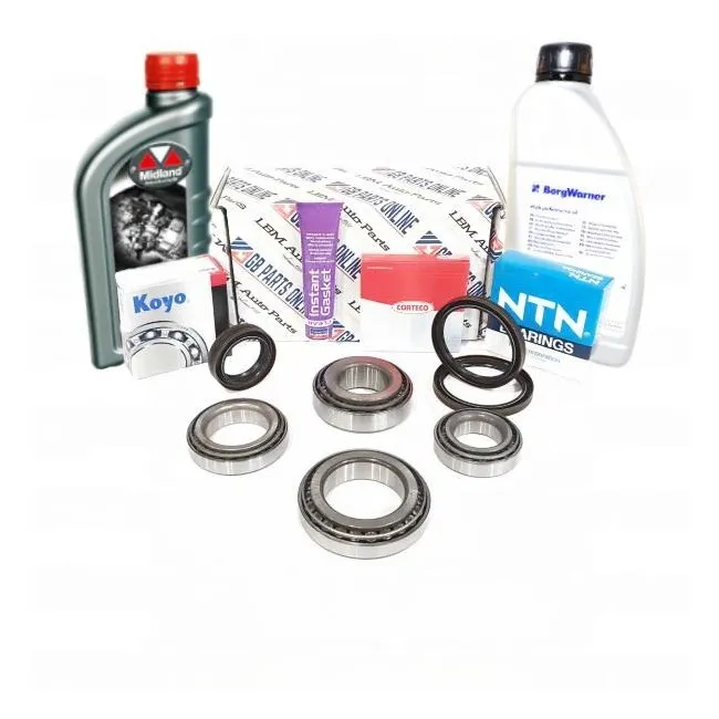 Repair Kit Rear Differential Vw 0cq/0cr/0bs With Oil 0cq525010h (2015-2023)
